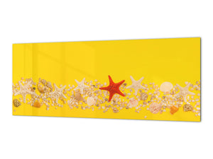 Wide format Wall panel with magnetic and non-magnetic metal sheet backing: Seashells and starfish