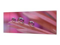 Wide format Wall panel with magnetic and non-magnetic metal sheet backing: Macro photo with water drops