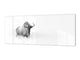 Wide format Wall panel with magnetic and non-magnetic metal sheet backing: Black and white antelope