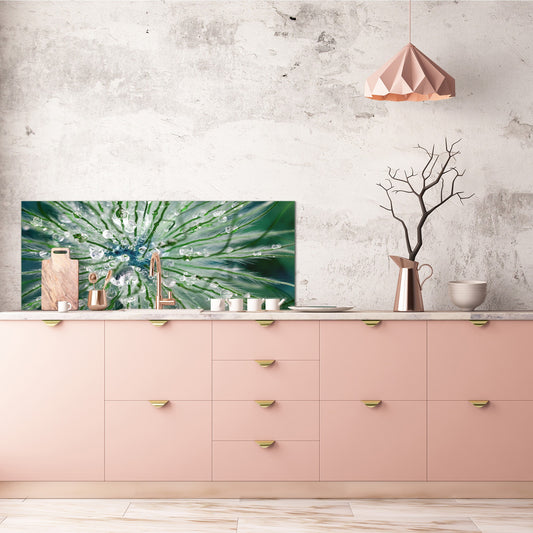 Tempered Glass magnetic and non magnetic splash-back in wide-format: Macro shot of flower head in morning dew