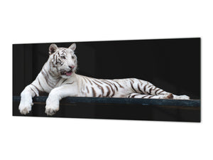 Tempered Glass magnetic and non magnetic splash-back in wide-format: White Tiger in high-res