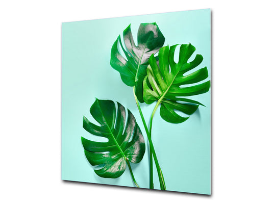 Toughened glass backsplash – Art glass design printed glass splashback NBS11 Tropical Leaves Series: Monstera summer leaves