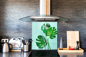 Toughened glass backsplash – Art glass design printed glass splashback NBS11 Tropical Leaves Series: Monstera summer leaves