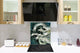Printed tempered glass backsplash – Glass kitchen splashback NBS13 Abstract Graphics Series: Ancient monster