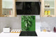 Toughened glass backsplash – Art glass design printed glass splashback NBS11 Tropical Leaves Series: Green monstera deliciosa