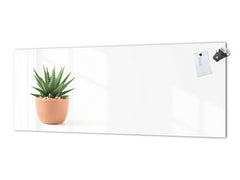 Glass kitchen panel with and w/o stainless steel back-coating: Little plant