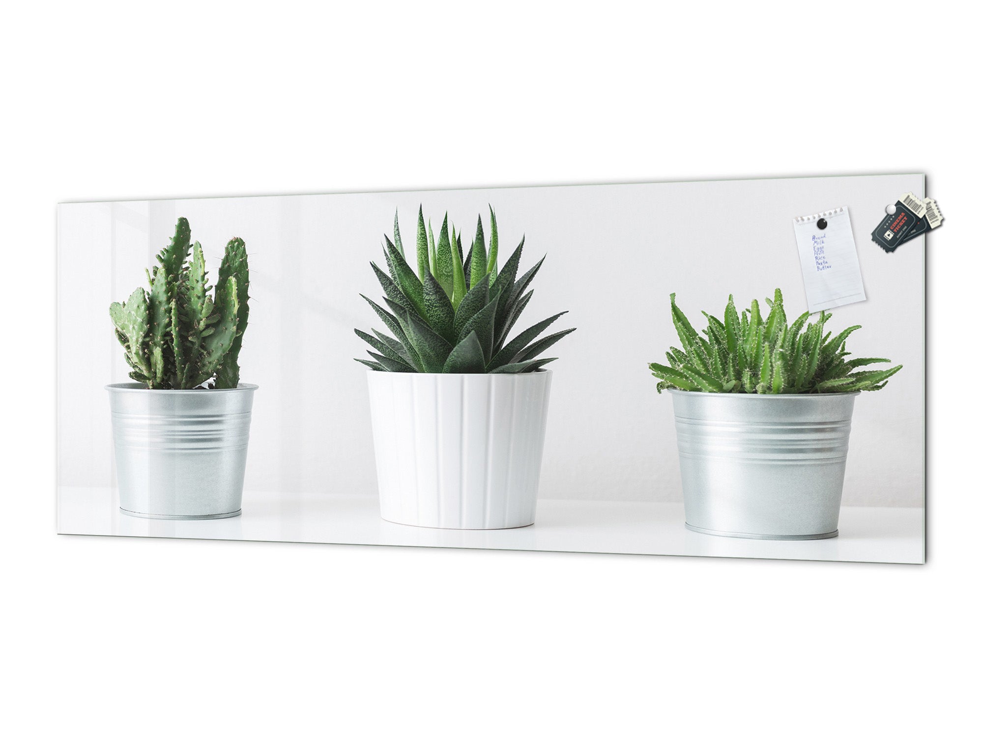 Glass kitchen panel with and w/o stainless steel back-coating: Succulent plants in pots