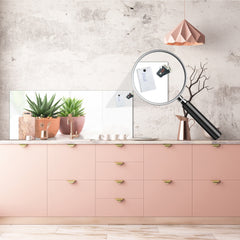 Glass kitchen panel with and w/o stainless steel back-coating: Succulent plants in pots 2