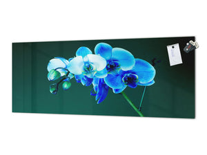 Large format horizontal backsplash - magnetic and non magnetic tempered glass: Flowering orchid