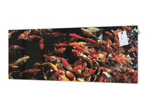 Large format horizontal backsplash - magnetic and non magnetic tempered glass: Colorful Koi