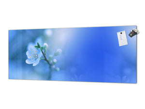 Glass splashback with metal backing - Kitchen glass panel:  Spring  Blossom
