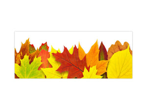 Stunning glass wall art - Wide format  backsplash with magnetic properties:   Autumn tree leaf