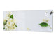 Toughened printed glass backsplash - Wideformat steel coated wall glass splashback: Jasmine flowers f