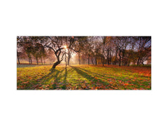 Stunning glass wall art - Wide format  backsplash with magnetic properties:  Sunny Landscape Of Trees