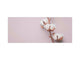 Wide format Wall panel with magnetic and non-magnetic metal sheet backing: Cotton flower on  paper 2