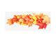 Wide format Wall panel with magnetic and non-magnetic metal sheet backing: Autumn maple leaves