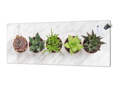 Tempered Glass magnetic and non magnetic splashback in wide-format: Succulent plants