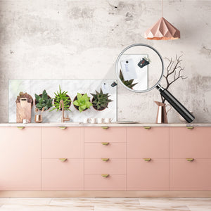Tempered Glass magnetic and non magnetic splashback in wide-format: Succulent plants