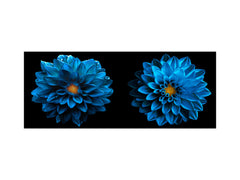 Glass kitchen panel with and w/o stainless steel back-coating: Blue dahlia flowers