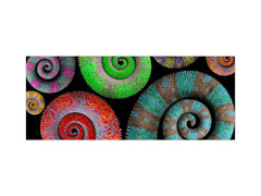 Glass kitchen panel with and w/o stainless steel back-coating: Chameleon tails 2