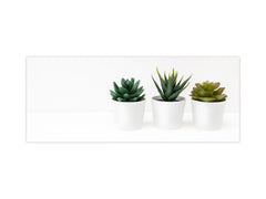 Glass backsplash w/ and w/o metal sheet backing with magnetic properties:  Succulent plants pots