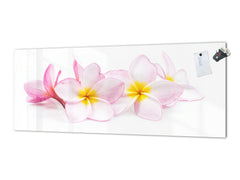 Salpicadero de vidrio con y sin respaldo de lámina de metal con propiedades magnéticas: Rosa exótica floreciente 