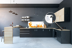 Glass kitchen panel with and w/o stainless steel back-coating: Fire flames