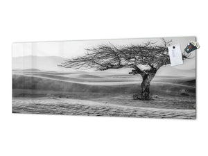 Glass kitchen panel with and w/o stainless steel back-coating: Tree designed by the wind