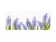 Glass kitchen panel with and w/o stainless steel back-coating: Blue muscari flowers