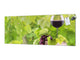 Large format horizontal backsplash - magnetic and non magnetic tempered glass: Grapes and wine glass