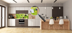 Large format horizontal backsplash - magnetic and non magnetic tempered glass: Grapes and wine glass