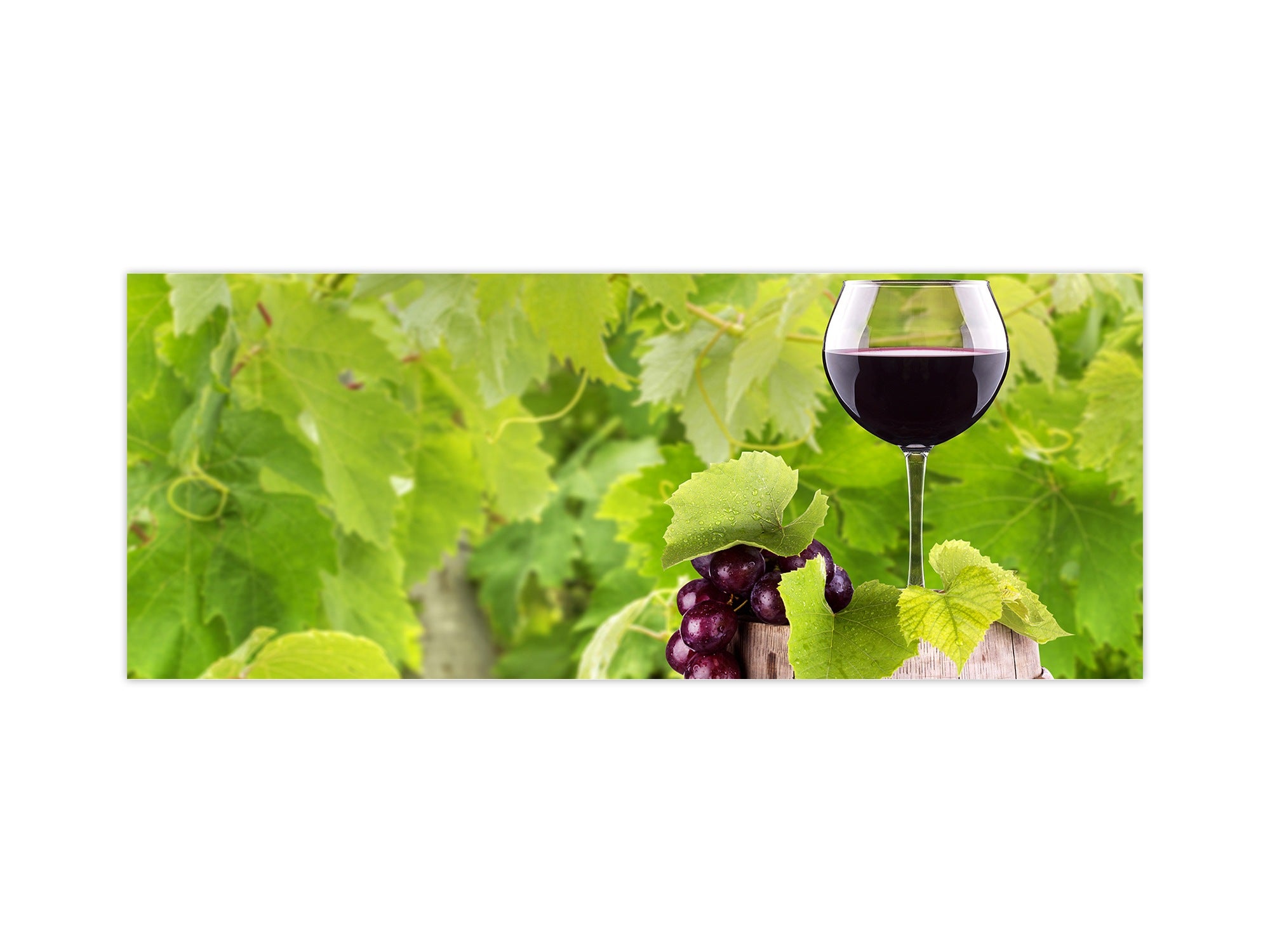 Large format horizontal backsplash - magnetic and non magnetic tempered glass: Grapes and wine glass