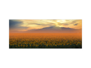 Glass splashback with metal backing in wide format - Kitchen tempered glass panel: Sunflower field at sunset