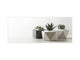 Glass splashback with metal backing in wide format - Kitchen tempered glass panel: Succulent plants in  flowerpots