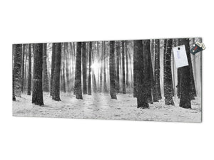 Glass splashback with metal backing in wide format - Kitchen tempered glass panel: Tribute Ansel Adams Walking Forest