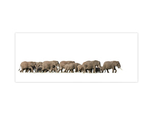 Glass splashback with metal backing in wide format - Kitchen tempered glass panel: Herd of African elephants