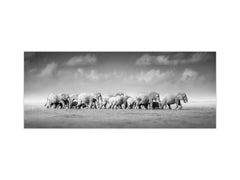 Glass splashback with metal backing in wide format - Kitchen tempered glass panel: Herd of African elephants 2