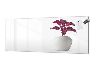 Glass splashback with metal backing in wide format - Kitchen tempered glass panel: Houseplant coleus in flowerpot