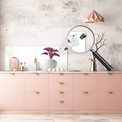 Glass splashback with metal backing in wide format - Kitchen tempered glass panel: Houseplant coleus in flowerpot