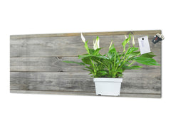 Wide-format tempered glass kitchen wall panel with metal backing - and without: Spathiphyllum in flowerpot