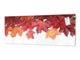 Wide-format tempered glass kitchen wall panel with metal backing - and without: Autumn forest  leaves