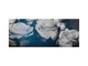 Toughened printed glass backsplash - Wideformat steel coated wall glass splashback: Rose  with a pale blue