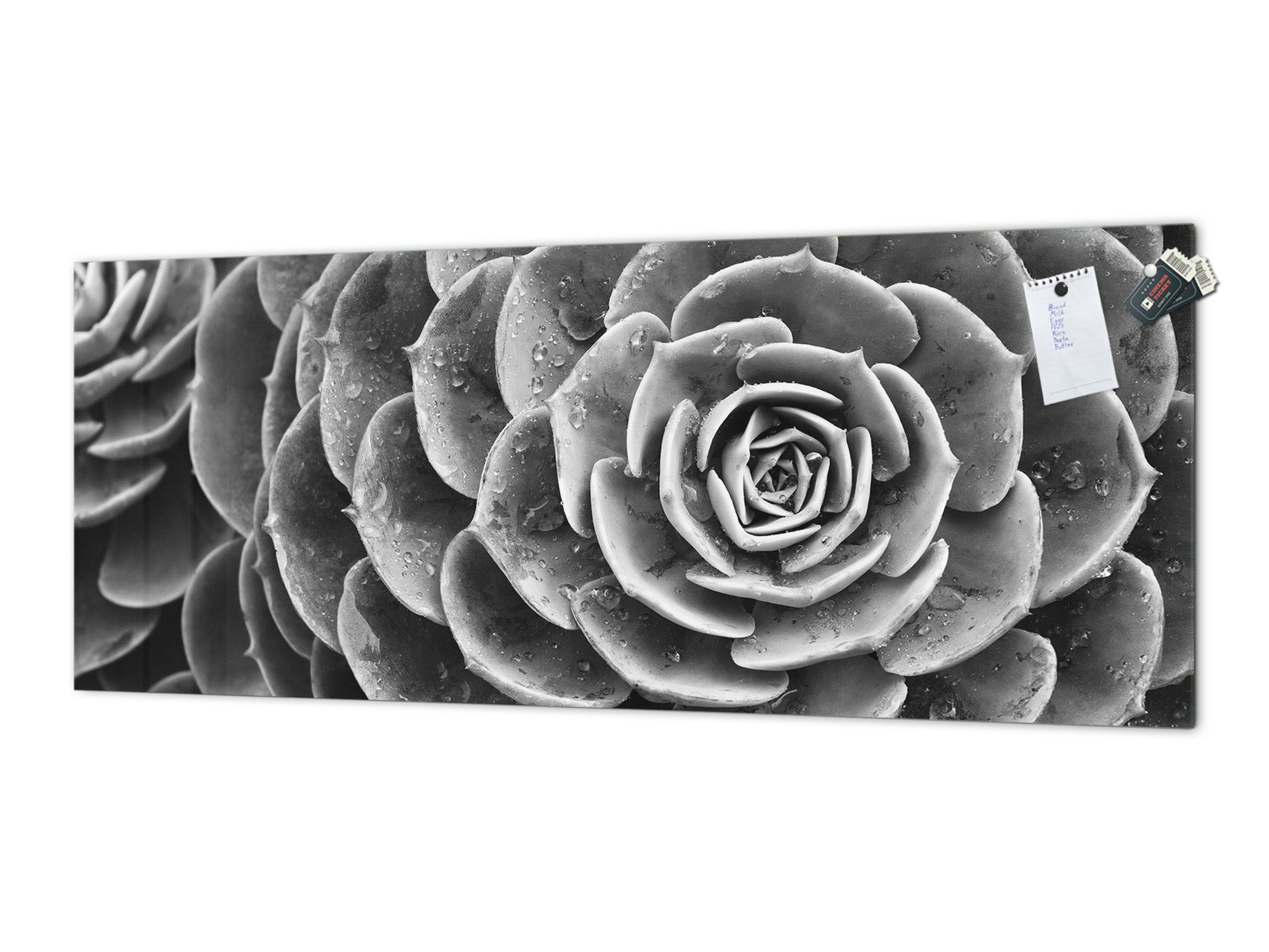 Toughened printed glass backsplash - Wideformat steel coated wall glass splashback: Grey green flower