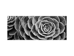 Toughened printed glass backsplash - Wideformat steel coated wall glass splashback: Grey green flower