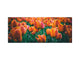 Toughened printed glass backsplash - Wideformat steel coated wall glass splashback: Meadow of red orange tulips