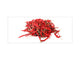 Wide format Wall panel with magnetic and non-magnetic metal sheet backing: Red hot chilli PEPPERs