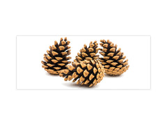 Wide format Wall panel with magnetic and non-magnetic metal sheet backing: Cones on a white