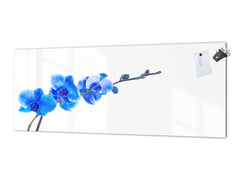 Wide format Wall panel with magnetic and non-magnetic metal sheet backing: Blue orchid