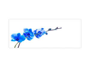 Wide format Wall panel with magnetic and non-magnetic metal sheet backing: Blue orchid