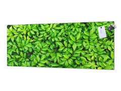 Tempered Glass magnetic and non magnetic splashback in wide-format: Green leaves wall